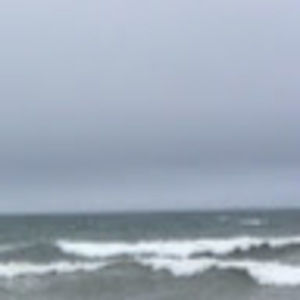 Meet your Posher, Maxwell